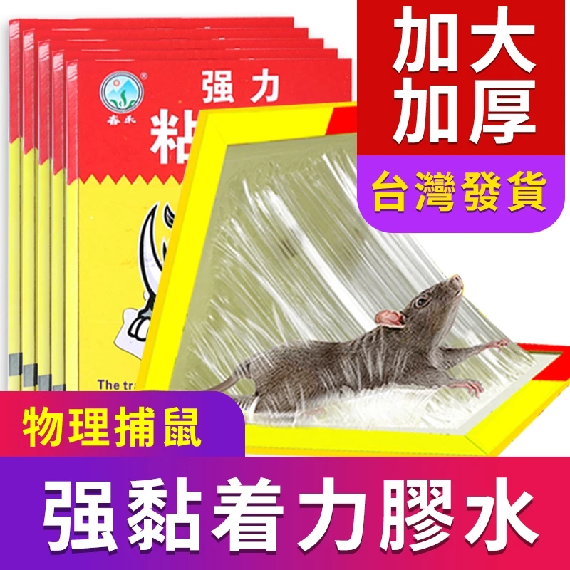 強黏著力膠水加大加厚黏鼠板 強黏著力膠水加大加厚黏鼠板